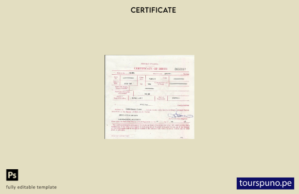 listo para imprimir Plantilla de certificado de defunción del Registro de naci 1